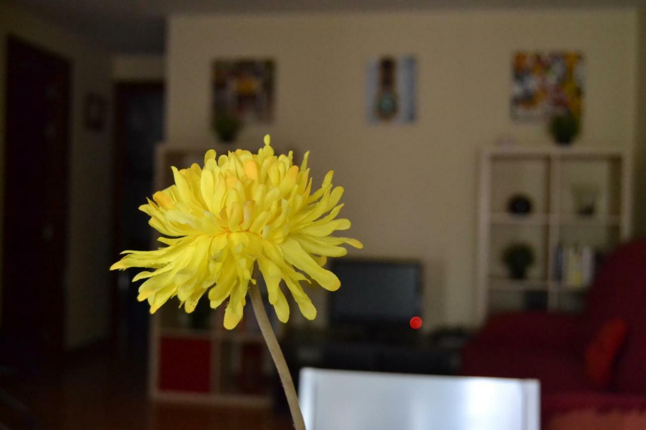 Apartamento Turistico Dct. Creus Guadalajara Dış mekan fotoğraf